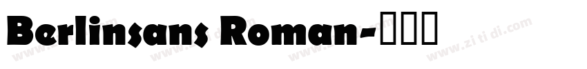 Berlinsans Roman字体转换